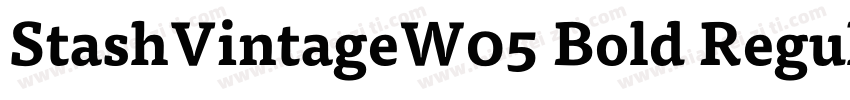StashVintageW05 Bold Regular字体转换